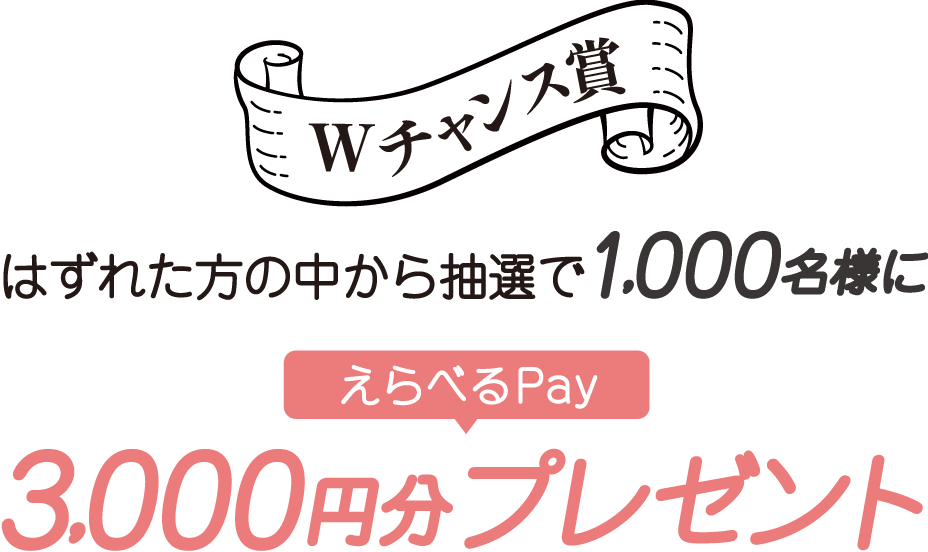 Wチャンス賞 はずれた方の中から抽選で1,000名様にえらべるPay3,000円分プレゼント！